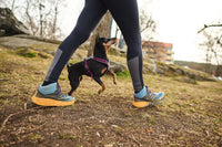 Non-Stop Dogwear Line Harness 5.0